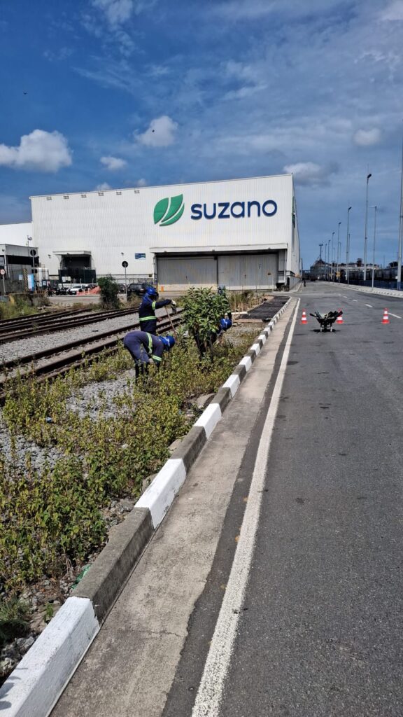 Ferrovia Interna do Porto de Santos (FIPS) – STS 14/14A